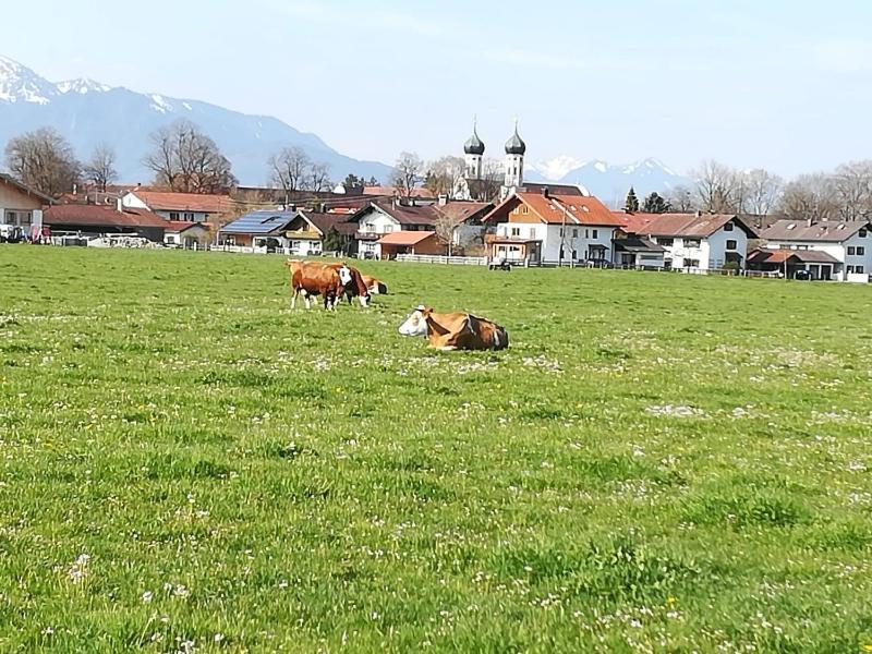 Apartment Moosblick Zwischen Bergen Und See Benediktbeuern Kültér fotó